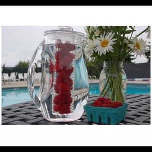 Prodyne Fruit Infusion Flavor Pitcher